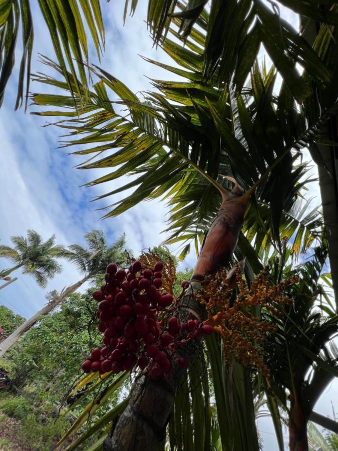 Hawaii Getaway Villa Holualoa Kültér fotó